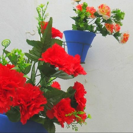 Apartamento Casa Mozarabe Κόρδοβα Εξωτερικό φωτογραφία